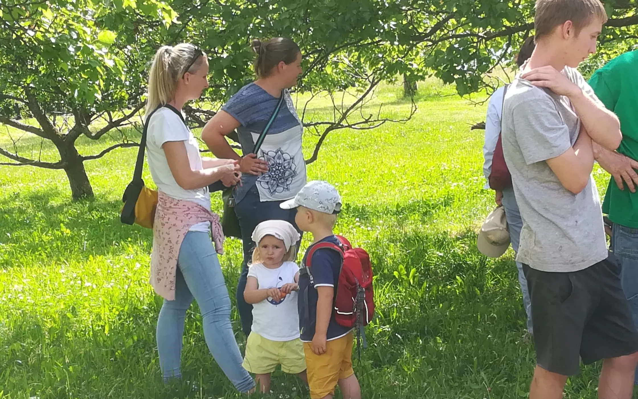 SBO-Ortsgruppe Aldein 2018SBO-Archiv 5_1600x1200.jpg
